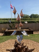 a. 5 Headed Lily.jpg